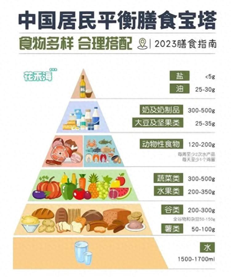 亚健康的生活_亚健康的生活方式有哪些_健康生活亚健康